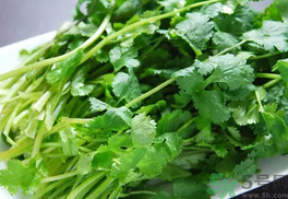 薺菜能和香菜一起吃嗎?薺菜可以和香菜同食嗎?.png 薺菜能和香菜一起吃嗎?薺菜可以和香菜同食嗎?.png