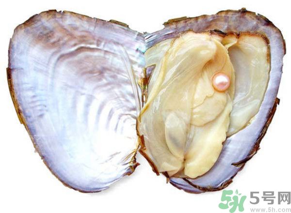河蚌什么時候吃最好？吃河蚌有什么好處？