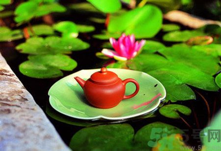 降血脂的茶有哪些？什么茶可以降血脂？