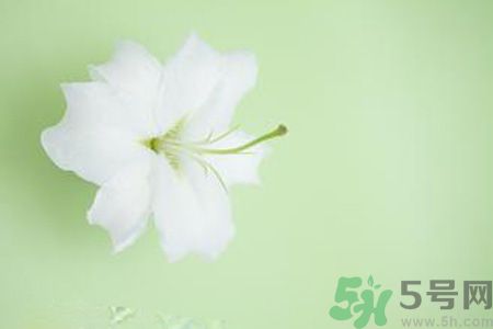 春季咳嗽怎么辦？春季咳嗽吃什么好？