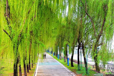 春天適合什么運(yùn)動(dòng)？春天做什么運(yùn)動(dòng)好？