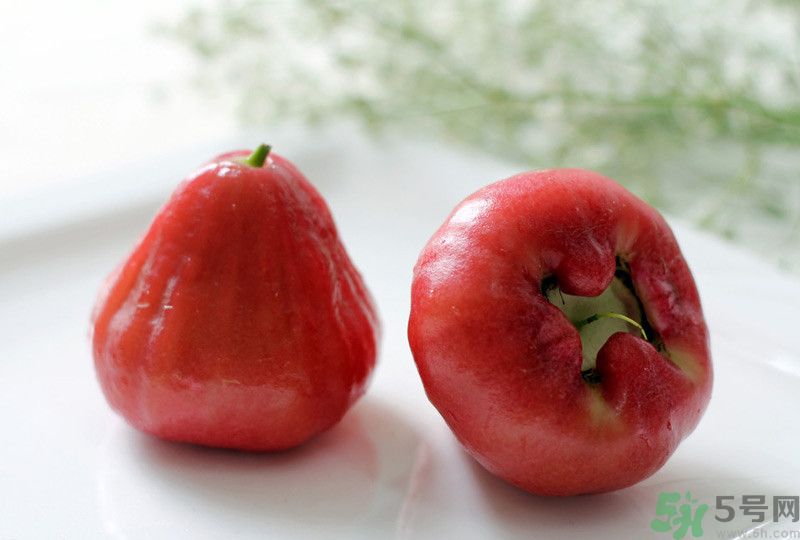 蓮霧皮能吃嗎？蓮霧要不要削皮？