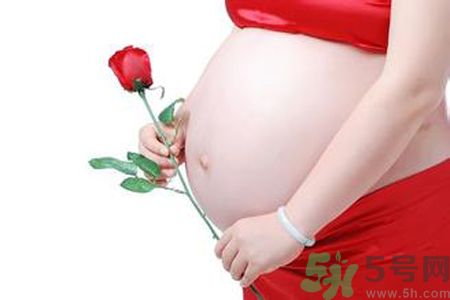 孕婦可以吃枸杞嗎？孕婦吃枸杞好嗎？