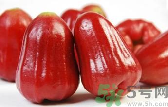 蓮霧是熱性還是涼性水果？蓮霧是寒性水果嗎？