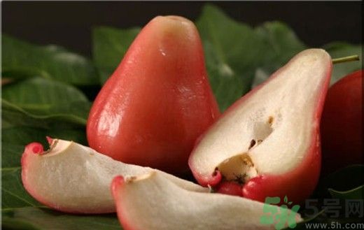 蓮霧一天能吃幾個(gè)?蓮霧一天吃幾個(gè)最好?.jpg 蓮霧一天能吃幾個(gè)?蓮霧一天吃幾個(gè)最好?.jpg