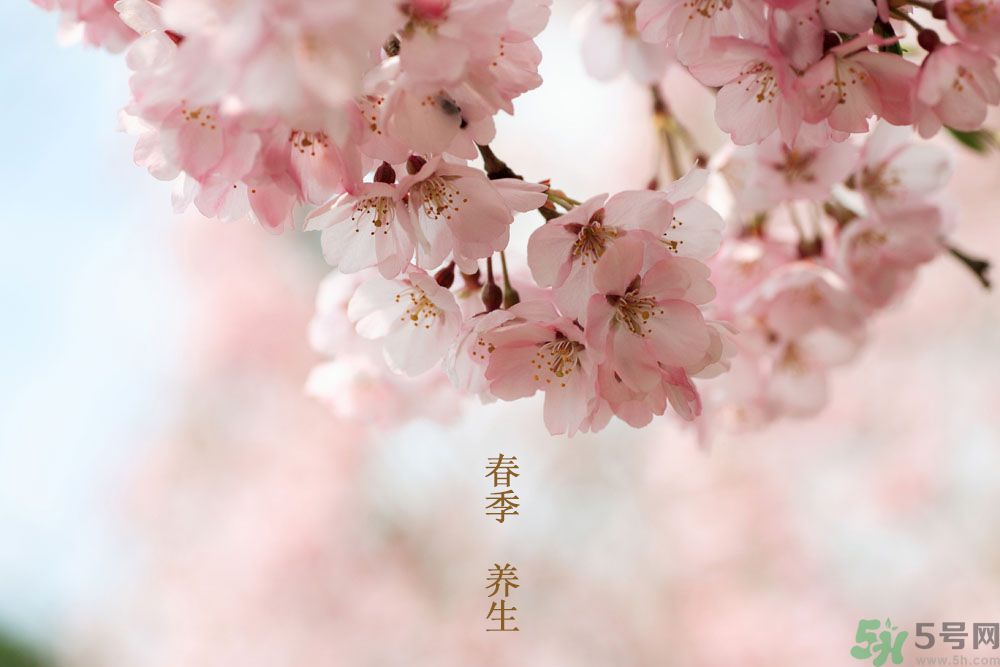 女性春季養(yǎng)生吃什么？女性春季怎么養(yǎng)生？