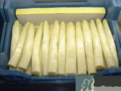 蘆筍和瓠瓜可以一起吃嗎？為什么蘆筍和瓠瓜不能一起吃？