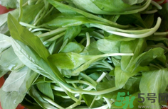 馬蘭頭是發(fā)物嗎?馬蘭頭是不是發(fā)物?.png 馬蘭頭是發(fā)物嗎?馬蘭頭是不是發(fā)物?.png