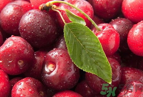 車?yán)遄雍蜋烟乙粯訂?車?yán)遄雍蜋烟业膮^(qū)別 車?yán)遄雍蜋烟乙粯訂?車?yán)遄雍蜋烟业膮^(qū)別