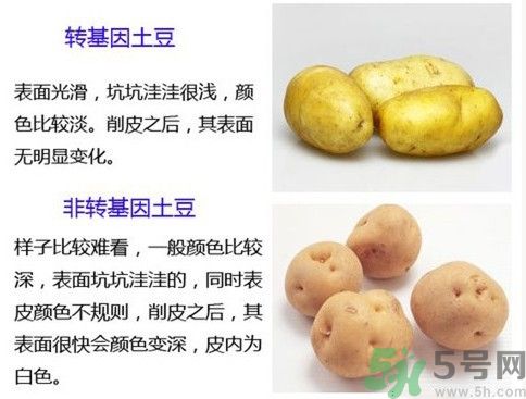 土豆變綠還能吃嗎？土豆變綠有什么危害？