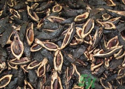 吃檳榔會(huì)致癌嗎？吃檳榔好不好？