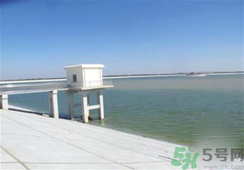 哪些地方的地下水不能飲用？為什么八成地下水不能飲用？