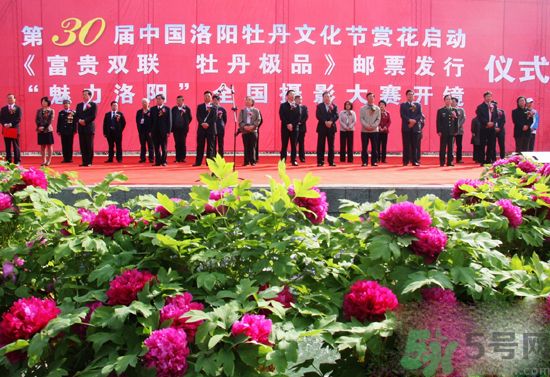 洛陽(yáng)牡丹文化節(jié)活動(dòng)有哪些？洛陽(yáng)牡丹文化節(jié)門(mén)票是多少？