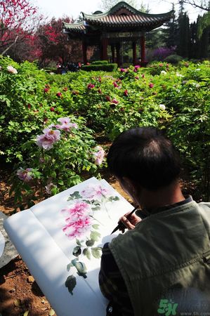 洛陽(yáng)牡丹文化節(jié)活動(dòng)有哪些？洛陽(yáng)牡丹文化節(jié)門(mén)票是多少？