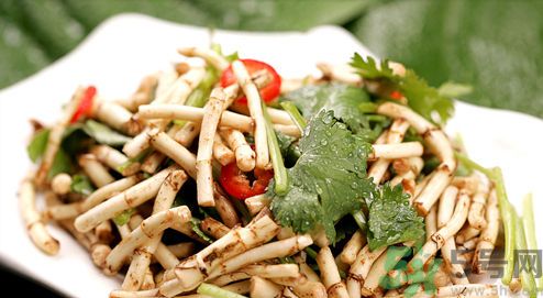 小孩子能喝魚腥草泡水嗎？小孩喝魚腥草泡水好嗎？