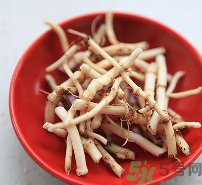 魚腥草可以炎癥嗎？魚腥草怎么治炎癥？