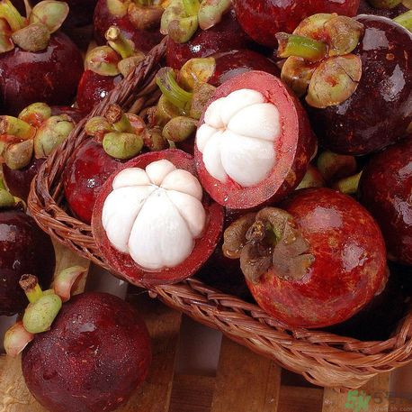 山竹可以和牛奶一起吃嗎？山竹和牛奶一起吃好嗎？