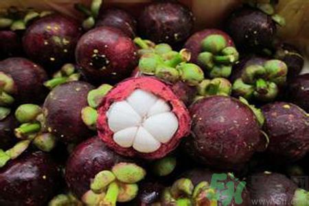 山竹可以和牛奶一起吃嗎？山竹和牛奶一起吃好嗎？