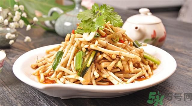 魚腥草可以止咳嗎？魚腥草止咳的辦法有哪些？