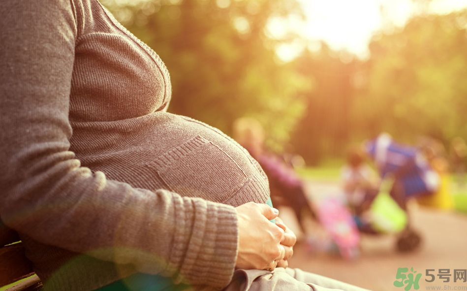 懷孕初期可以吃冬瓜嗎？懷孕初期吃冬瓜好嗎？