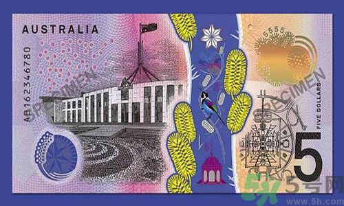 新版5澳元為什么被吐槽？新版5澳元是多少錢？