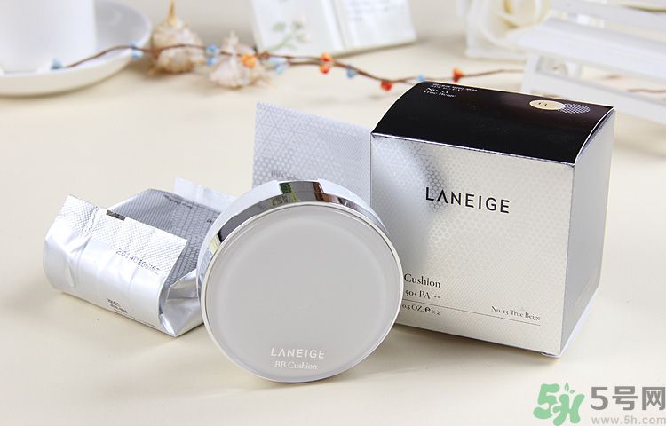 蘭芝氣墊bb13號(hào)跟21號(hào)哪個(gè)更白？蘭芝氣墊bb色差大嗎？