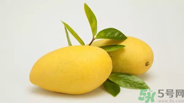 吃芒果能減肥嗎？吃芒果減肥可以嗎？