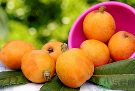 枇杷是發(fā)物嗎?枇杷是不是發(fā)物?.png 枇杷是發(fā)物嗎?枇杷是不是發(fā)物?.png