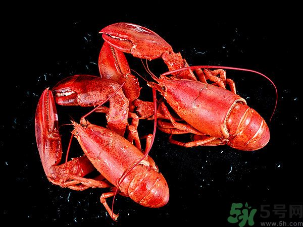 油燜大蝦為什么肉散了？油燜大蝦怎么做肉不散？