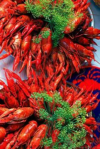 油燜大蝦用的是什么蝦？油燜大蝦用什么蝦最好？