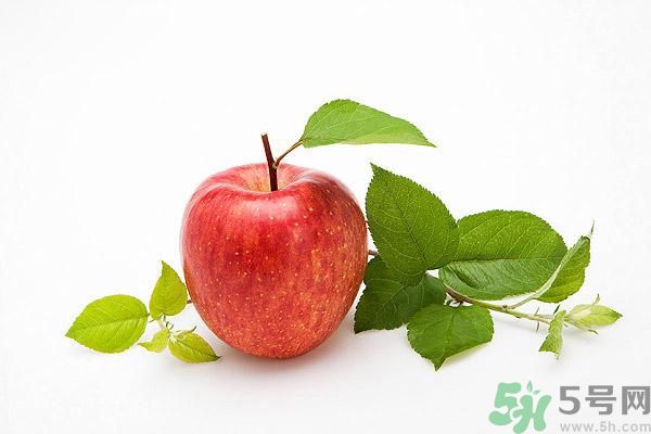 晚上9點以后可以吃蘋果嗎？晚上吃蘋果好不好？