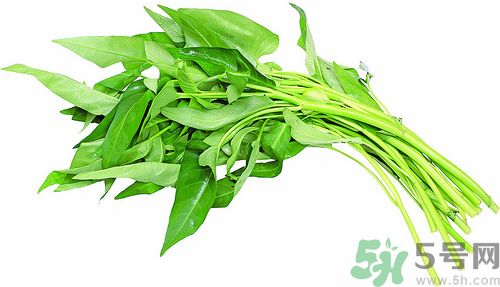 空心菜和雞能一起吃嗎？空心菜怎么吃有營養(yǎng)？