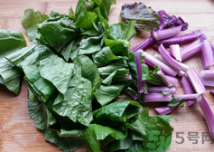 菜苔是發(fā)物嗎?菜苔是不是發(fā)物?.png 菜苔是發(fā)物嗎?菜苔是不是發(fā)物?.png