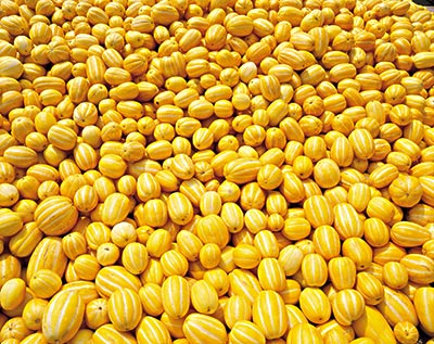 拉肚子能吃香瓜嗎？拉肚子吃香瓜好嗎？