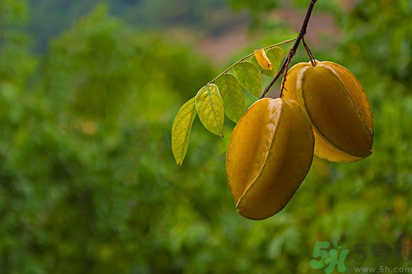 1461575345995018.jpg east-ep-a21-4649899.jpg