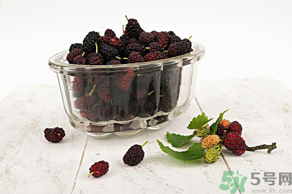 桑葚泡酒男人可以喝嗎？桑葚泡酒男人喝好不好？