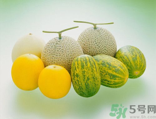 香瓜和甜瓜的區(qū)別是什么?香瓜和甜瓜營養(yǎng)價(jià)值誰高 香瓜和甜瓜的區(qū)別是什么?香瓜和甜瓜營養(yǎng)價(jià)值誰高