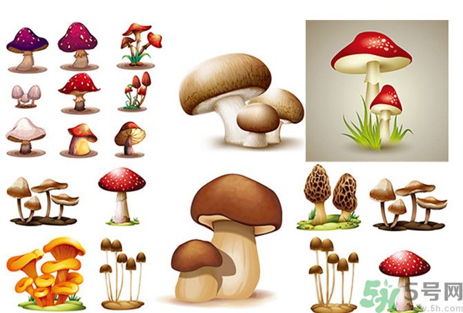 吃蘑菇可以喝酒嗎？吃蘑菇喝酒會(huì)中毒嗎？