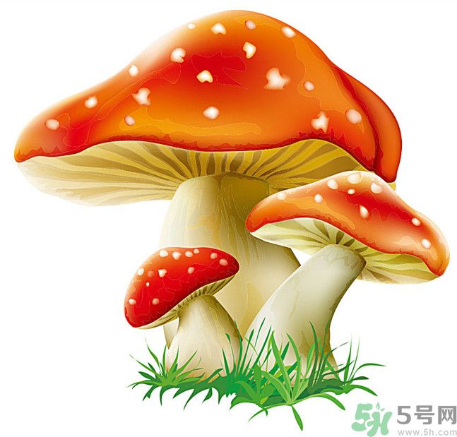 吃蘑菇可以喝酒嗎？吃蘑菇喝酒會(huì)中毒嗎？