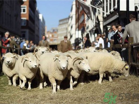 如何挑選高定西裝？定制西裝要注意些什么？