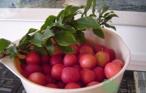 李子可以美容嗎？李子怎么吃可以美容？