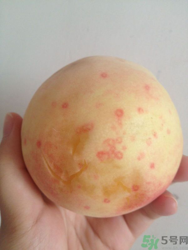 桃子上有紅點(diǎn)能吃嗎？桃子上有黑點(diǎn)可以吃嗎？