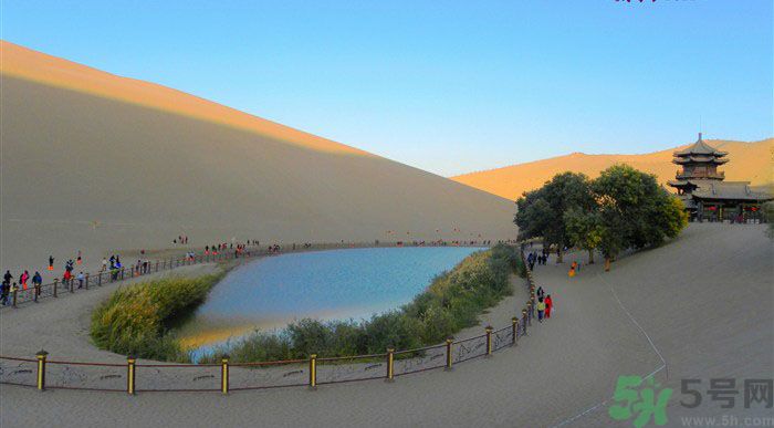 月牙泉再現(xiàn)鐵背魚(yú) 什么是鐵背魚(yú)？