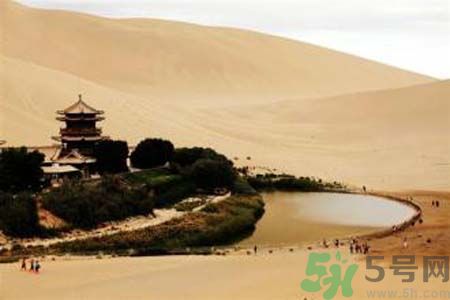 月牙泉再現(xiàn)鐵背魚(yú) 什么是鐵背魚(yú)？