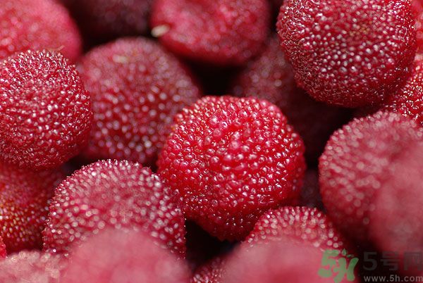 楊梅和梅子是一樣的嗎？楊梅和梅子有什么區(qū)別？