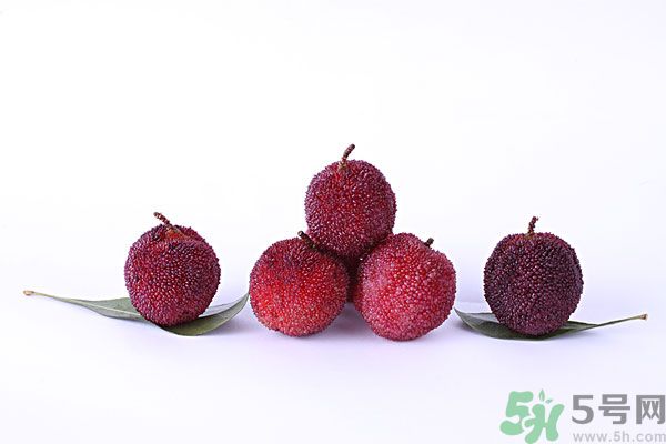 楊梅和梅子是一樣的嗎？楊梅和梅子有什么區(qū)別？