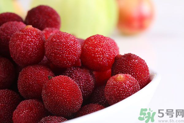 楊梅和梅子是一樣的嗎？楊梅和梅子有什么區(qū)別？