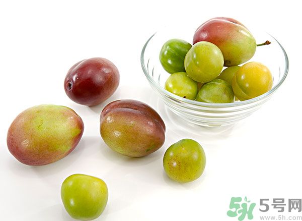楊梅和梅子是一樣的嗎？楊梅和梅子有什么區(qū)別？