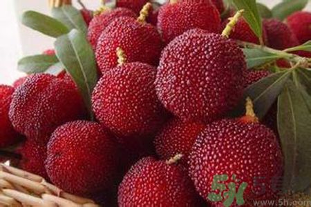 孕婦可以吃楊梅嗎？孕婦吃楊梅好嗎？