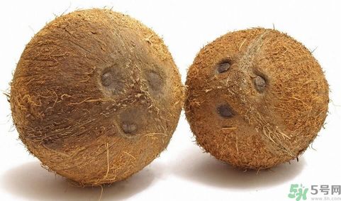 椰子能帶上飛機嗎？坐飛機能帶椰子嗎?